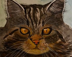 Karte Nr. 45 / Katze